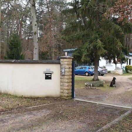 Etape Foret Fontainebleau Climb & Randonnees Arbonne Exterior foto
