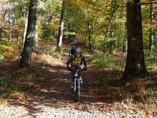 Etape Foret Fontainebleau Climb & Randonnees Arbonne Exterior foto