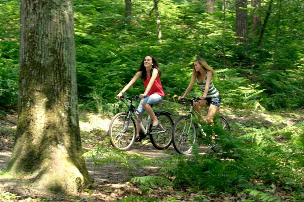 Etape Foret Fontainebleau Climb & Randonnees Arbonne Exterior foto